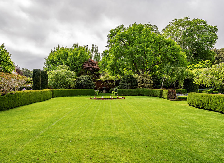 Engazonnement naturel