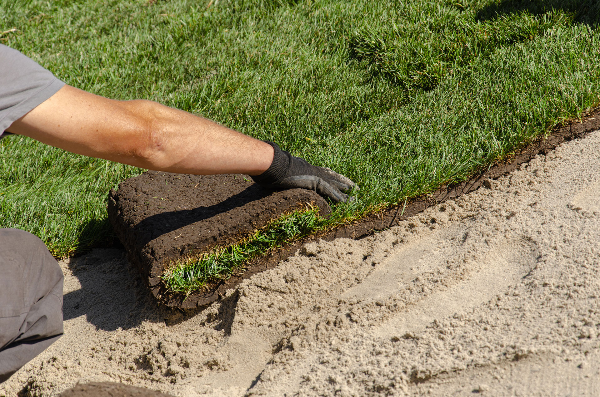 Pelouse synthétique en cour